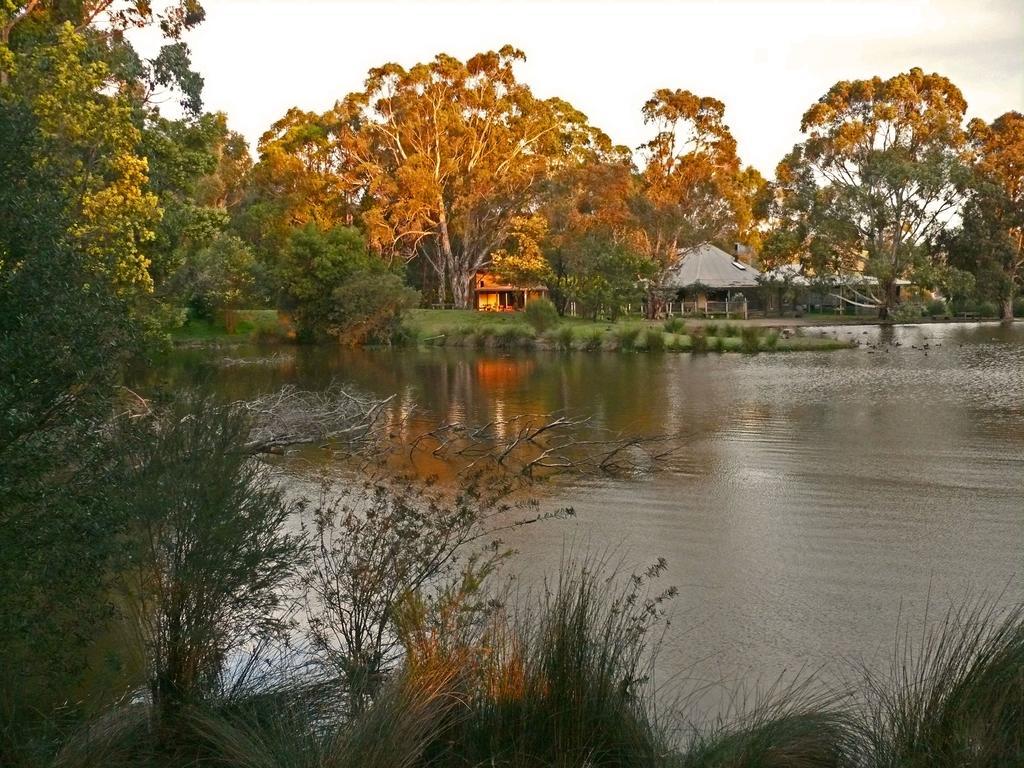 The Burrow At Wombat Bend Villa Dixons Creek Room photo