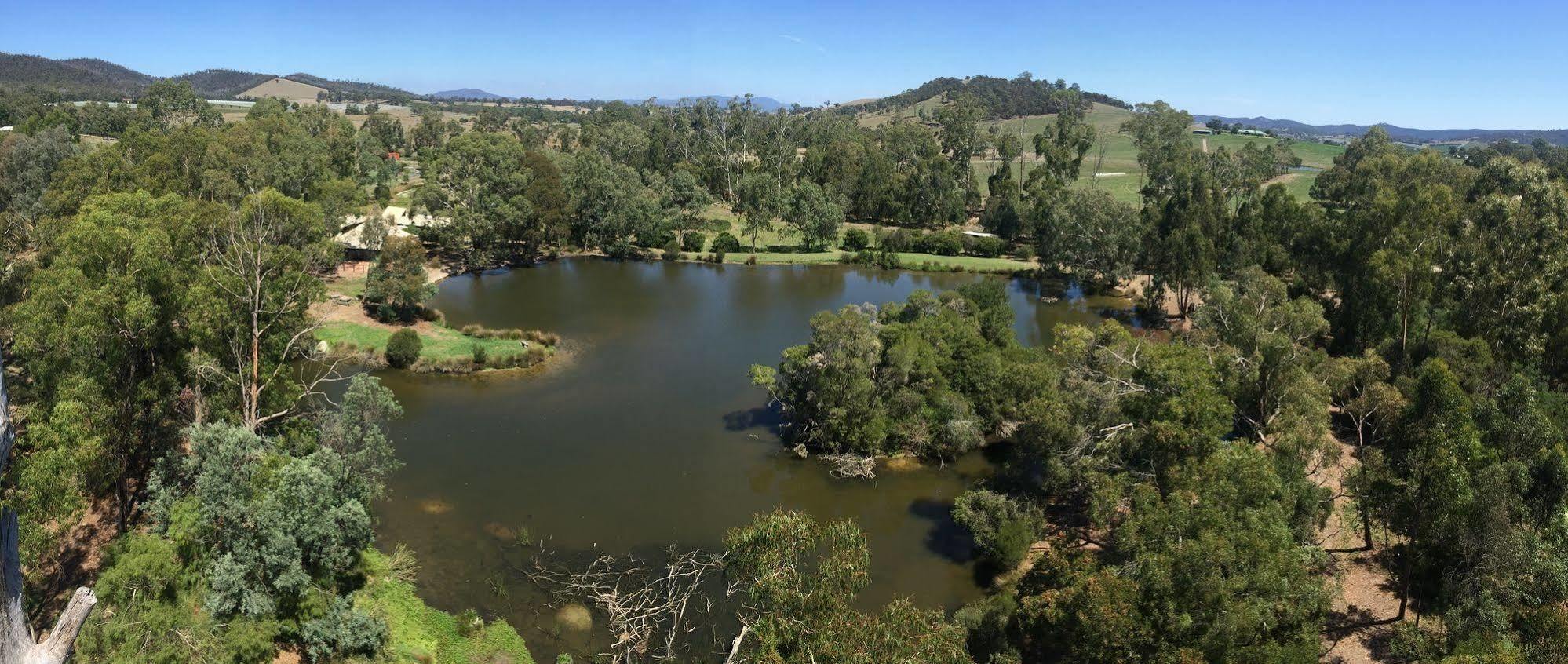 The Burrow At Wombat Bend Villa Dixons Creek Exterior photo
