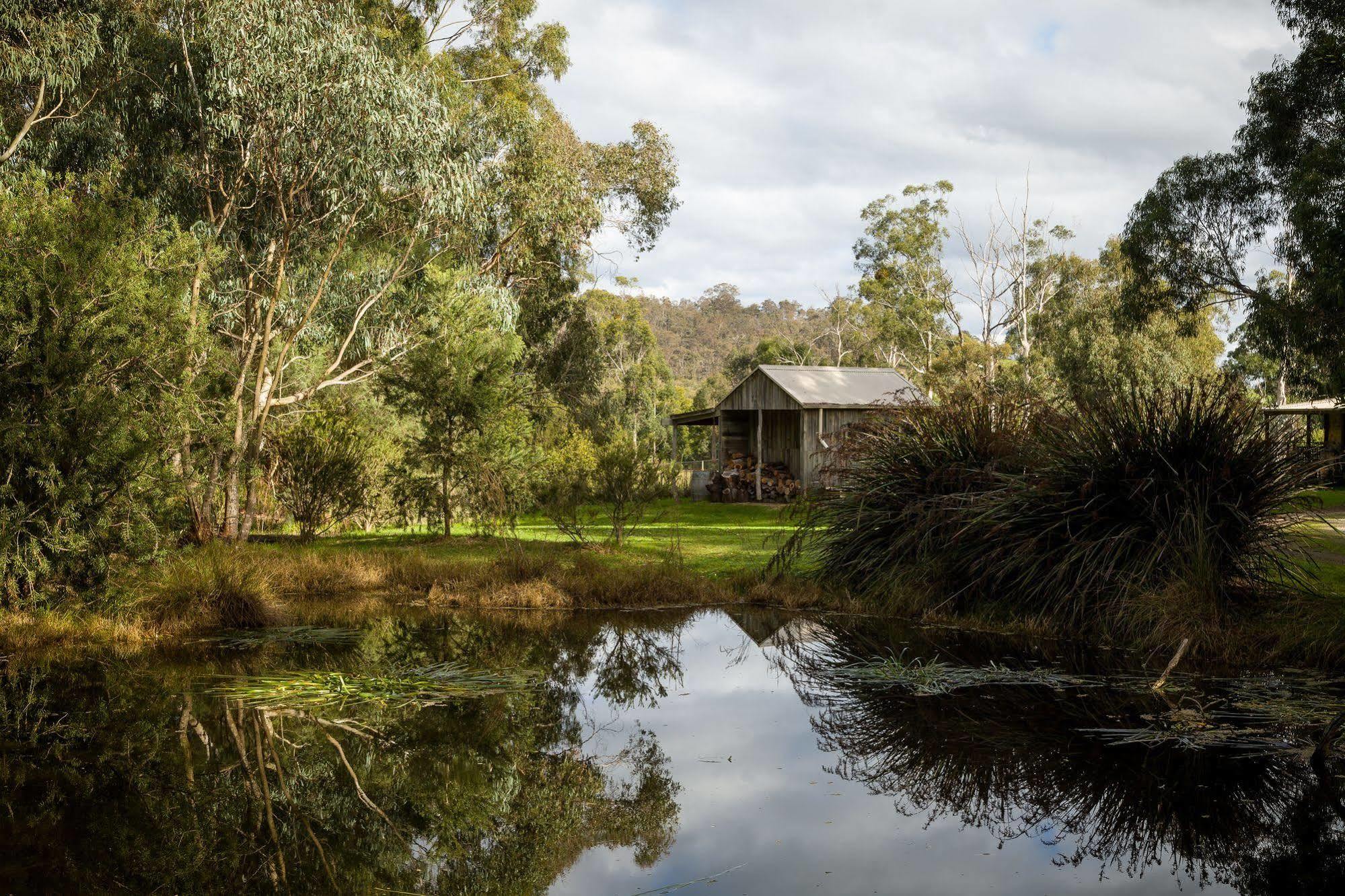 The Burrow At Wombat Bend Villa Dixons Creek Exterior photo